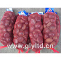 Neue Ernte Fresh Chestnut 40-60PCS / Kg